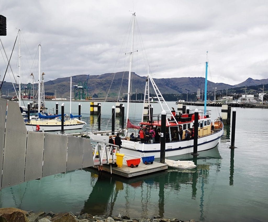 Rosaria Ferguson - Sustainable Event Producer New Zealand